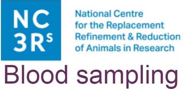 NC3Rs-動物實驗之採血技巧 